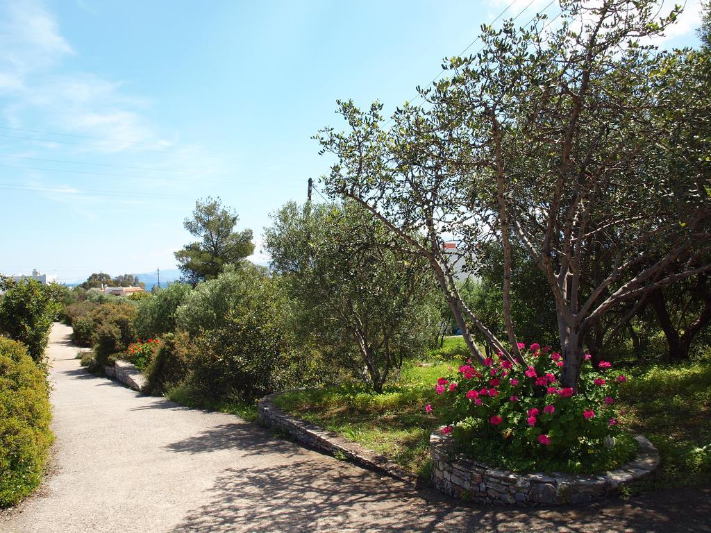 Bayview Apartments Agios Nikolaos Extérieur photo